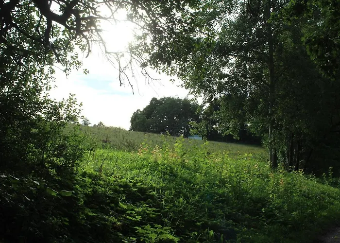 Wippertal Biesenrode Appartement Mansfeld